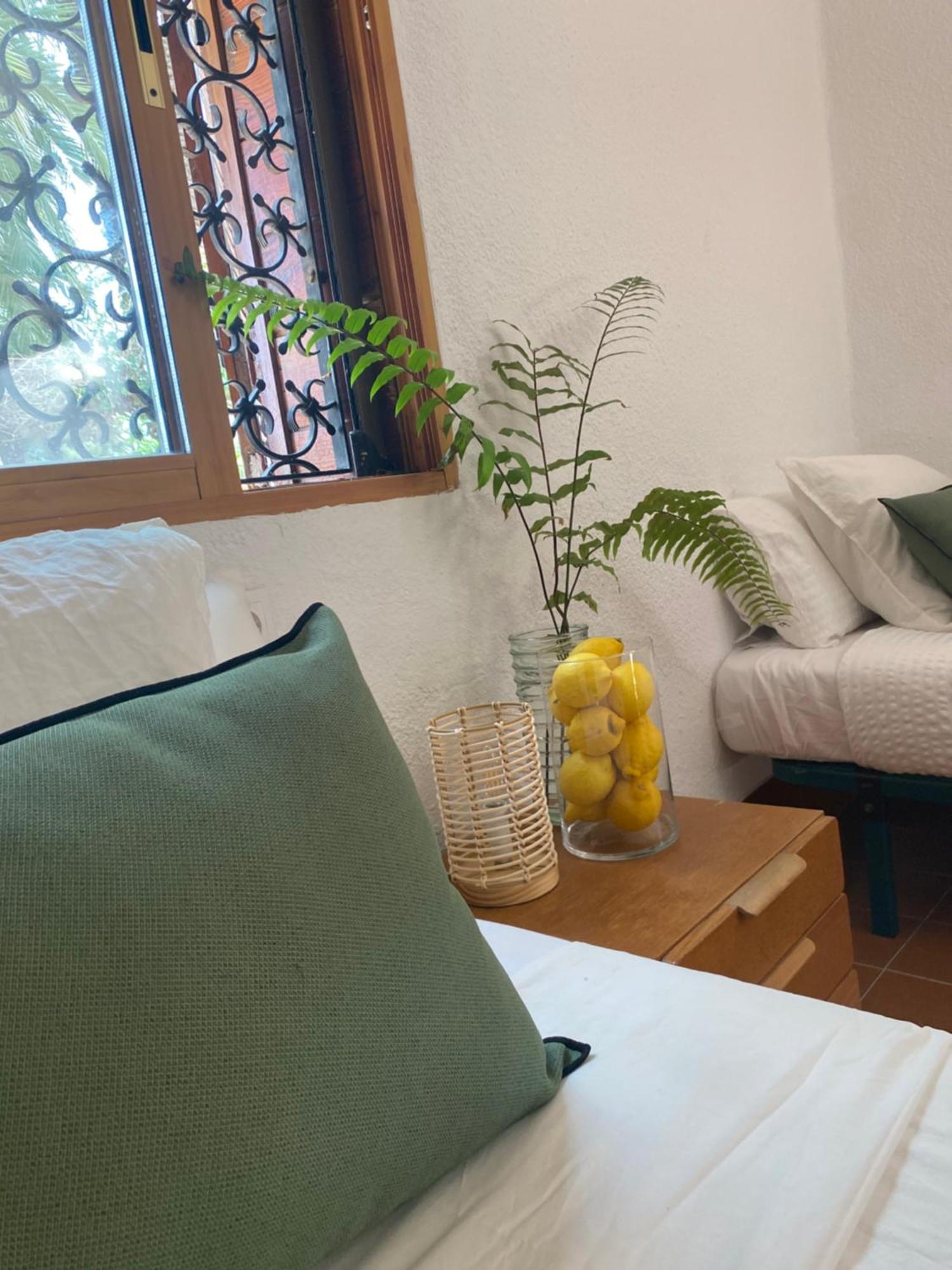 Pink Lemon House Bed & Breakfast Елче Екстериор снимка