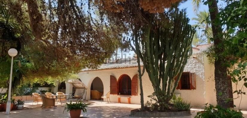 Pink Lemon House Bed & Breakfast Елче Екстериор снимка